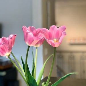 Meet your Posher, Halena